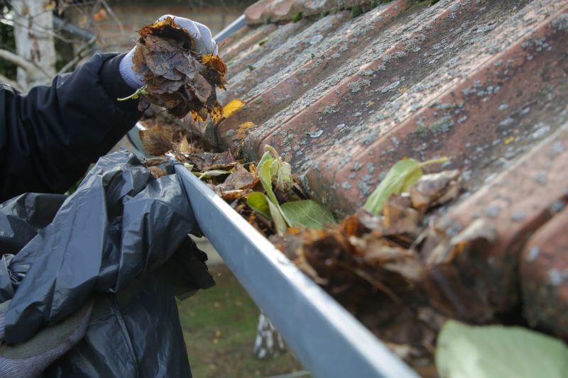 What to Expect from a Gutter Cover Service